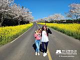 Tour a Corea Primavera 2023