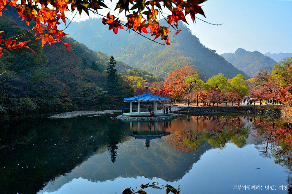 내장산